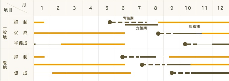 �ڤƤ��ޤ��ġ� ��̥ȥޥ��ġ������  9cm�ݥå� �Ǻ�������