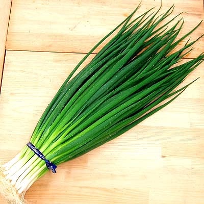 �ڤƤ��ޤ��ġ� �ͥ��� ���٥ͥ� 4������ѥå� �պ��� �ڿ͵���