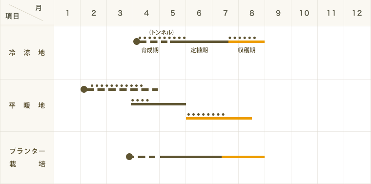 �ڤƤ��ޤ��ġ� ���̥������� �ޥ���å� �Ǻ������� 9cm�ݥå� �ڿ͵���