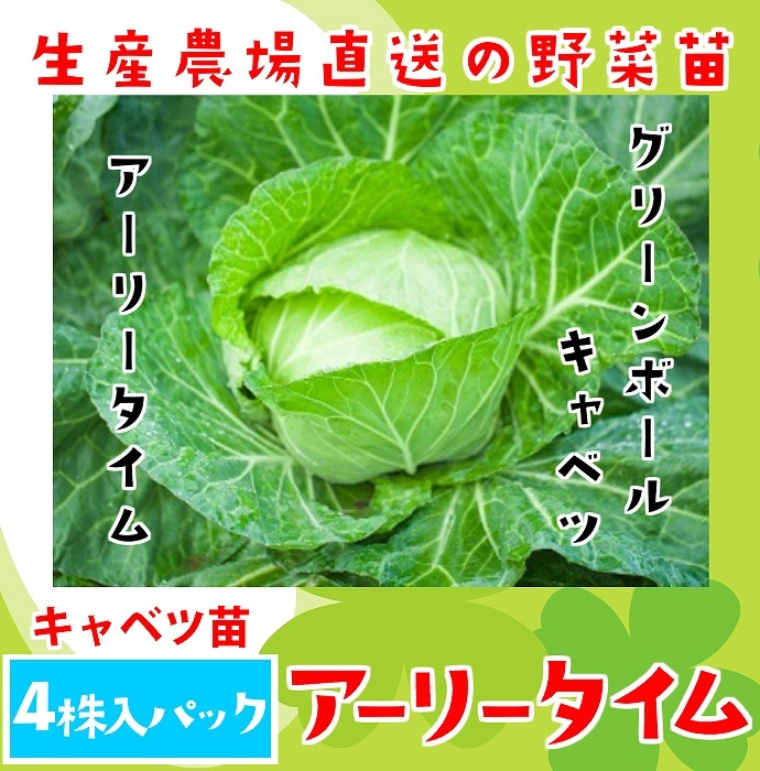 ڤƤޤġ ٥ ꡼ 4ѥå պ ڿ͵