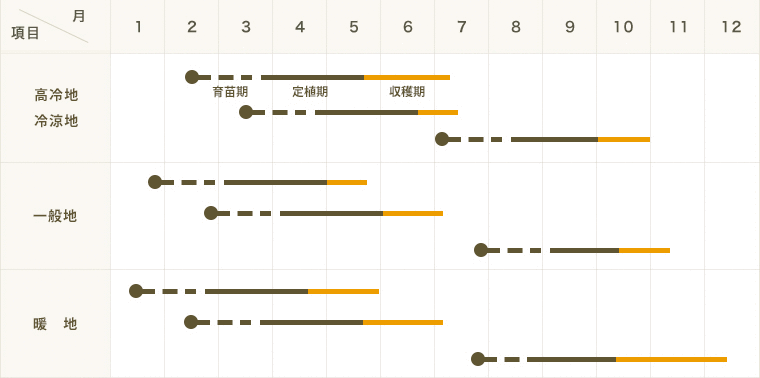 ڤƤޤġ ٥ ꡼ 4ѥå պ ڿ͵