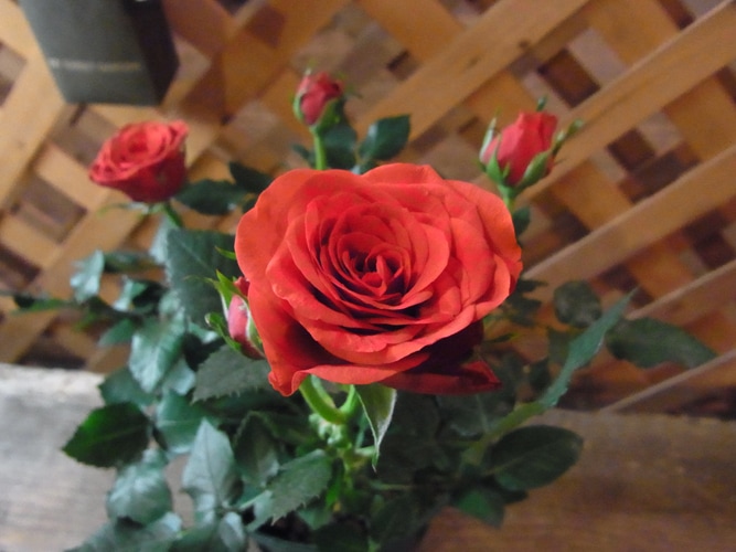 �⥹����ե������С�