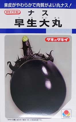 goun 丸茄子（早生大丸）Lサイズ 新潟市北区ブランド茄子 早生大丸 ナス ｜ 品種カタログ ｜ タキイの野菜【タキイ種苗】