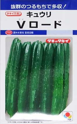 ���奦��μ�/�֥�����