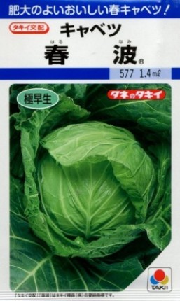 ����٥Ĥμ����&reg;