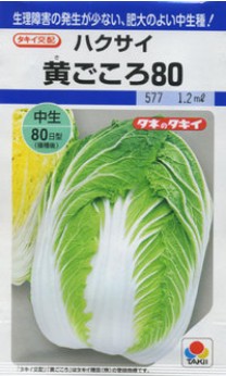 �ϥ������μ��������80