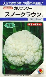 ����ե��μ���Ρ����饦��