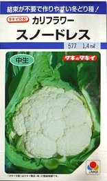����ե��μ���Ρ��ɥ쥹