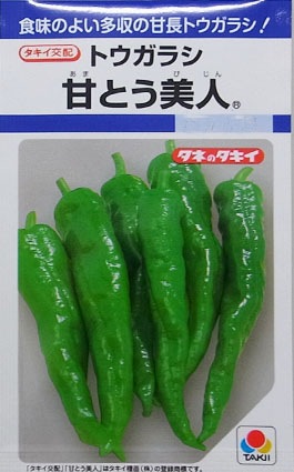 �ȥ����饷�μ�ŤȤ�����