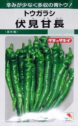 �ȥ����饷�μ�/������Ĺ