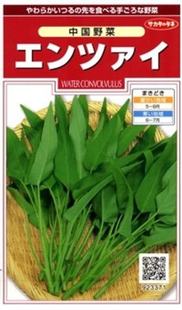 �����ڡ�����ĥ����μ�