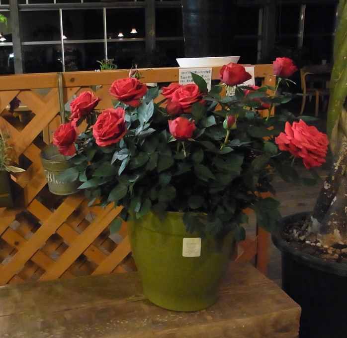 �ե������С����������ե�