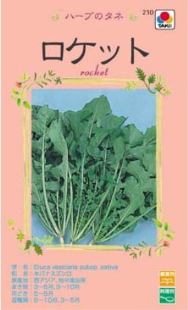 �����åȡʥ�å���ˤμ0.5����