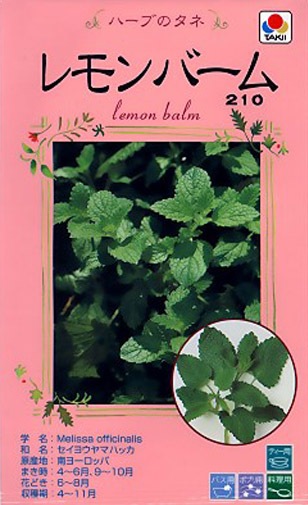 ����С���μ�