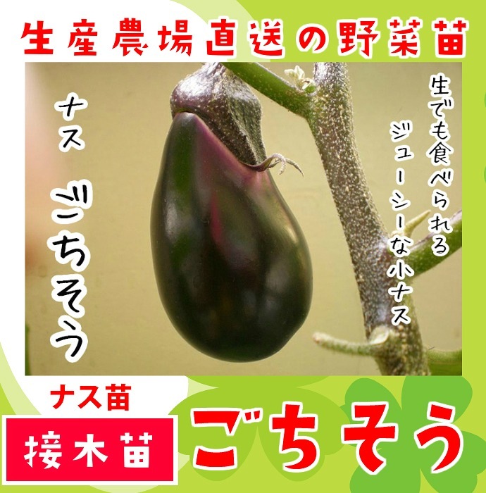 �ڤƤ��ޤ��ġ� �ʥ��� �������� �Ǻ������� 9cm�ݥå� ����� ���� �� ���� �ڿ͵���