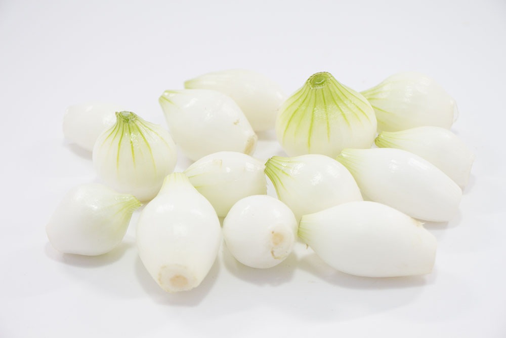 �ڤƤ��ޤ��ġۡ����ޤͤ��ġ��ڥ��������ߥ˥��ޥͥ���4������ѥå���������