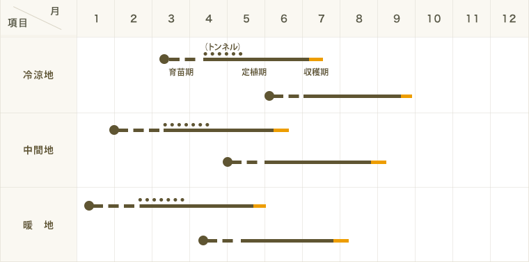 �ڤƤ��ޤ��ġ� ���ܥ����� �Х����ʥå� ������ 9cm�ݥå� ����� ���� �� ���� �ڿ͵���