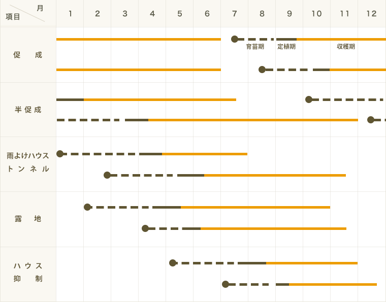 ڤƤޤġ ѥץꥫĥե롼ԡ  9cmݥå ڿ͵