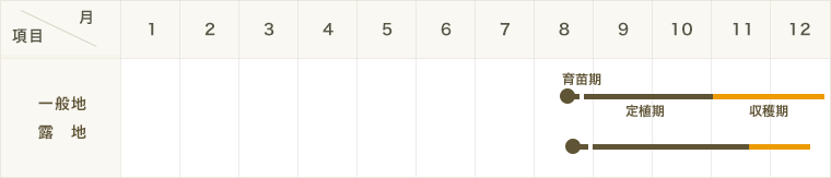 ڤƤޤġۥϥܥ ղðåȡ12cmݥå ڿ͵