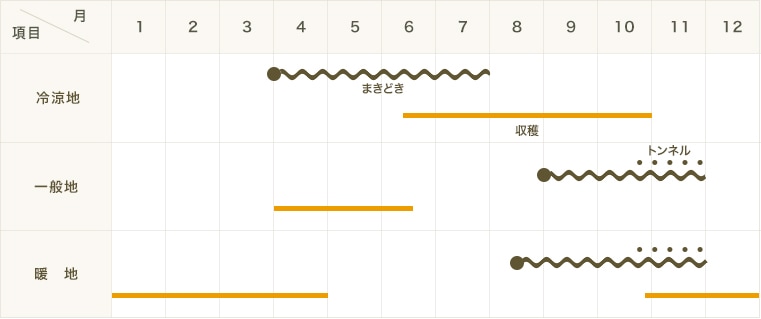 �ڤƤ��ޤ��ġۥ���ɥ��� �������ʥ��� 4������ѥå���������