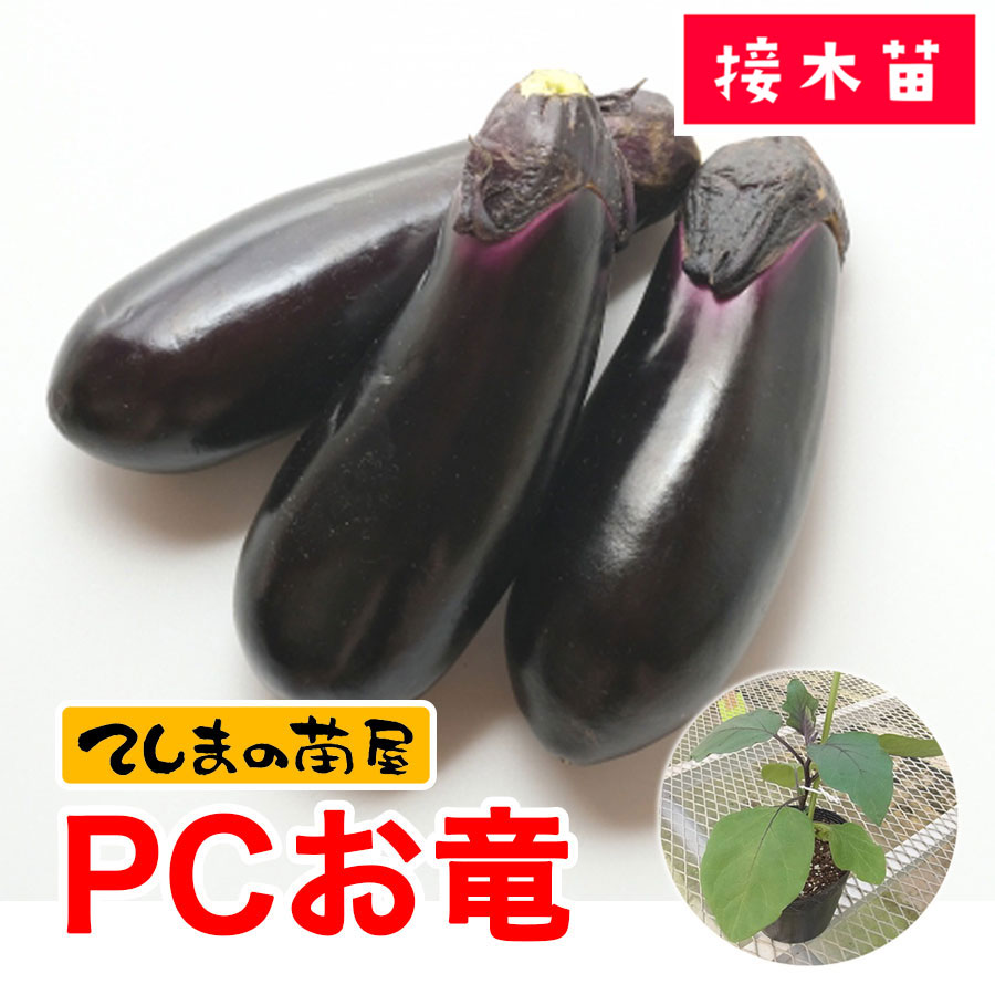 �ڤƤ��ޤ��ġۡ�Ĺ�ʥ��ġ�PC��ε��9cm�ݥåȡ��ʥ����Ǻ�������