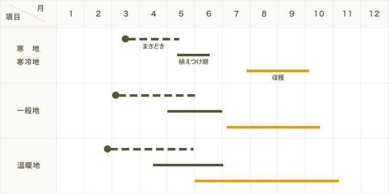 �ڤƤ��ޤ��ġ� �ߥ˥ȥޥ��� ���å��ʥݥ꥿�� �Ǻ������� 9cm�ݥå� ����� ���� �� ���� �ڿ͵��� ����� �ץ��ȥޥ� �ڿ͵���