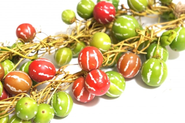 ڤƤޤġۥ꡼󥫡ƥѡʥ凉ᥦꡡ9ݥåȡ