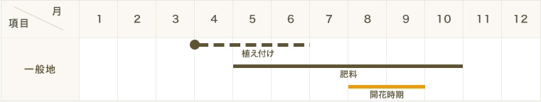 ڤƤޤġۥ꡼󥫡ƥѡʥ凉ᥦꡡ9ݥåȡ