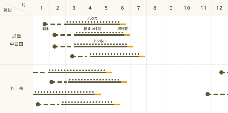 �ڤƤ��ޤ��ġ� ������� ��Υ󥦥����� �Ǻ������� 9cm�ݥå� ����� ���� �� ���� �ڿ͵��� ����� �ڿ͵���