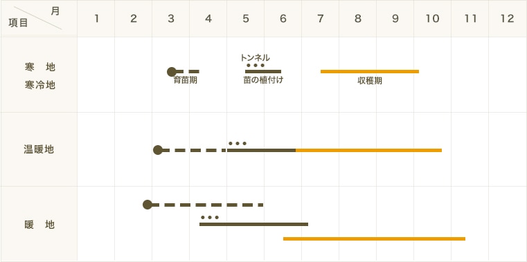 �ڤƤ��ޤ��ġۥߥ˥ȥޥ��ġ����롼�ߡ���9����ݥåȡ��Ǻ�������