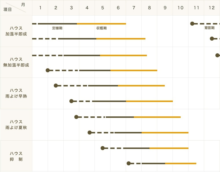 ڤƤޤġۥߥ˥ȥޥġCFץפ襰꡼9Ǻ