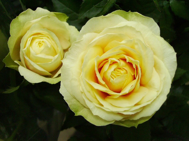 �����ա��ե������С�