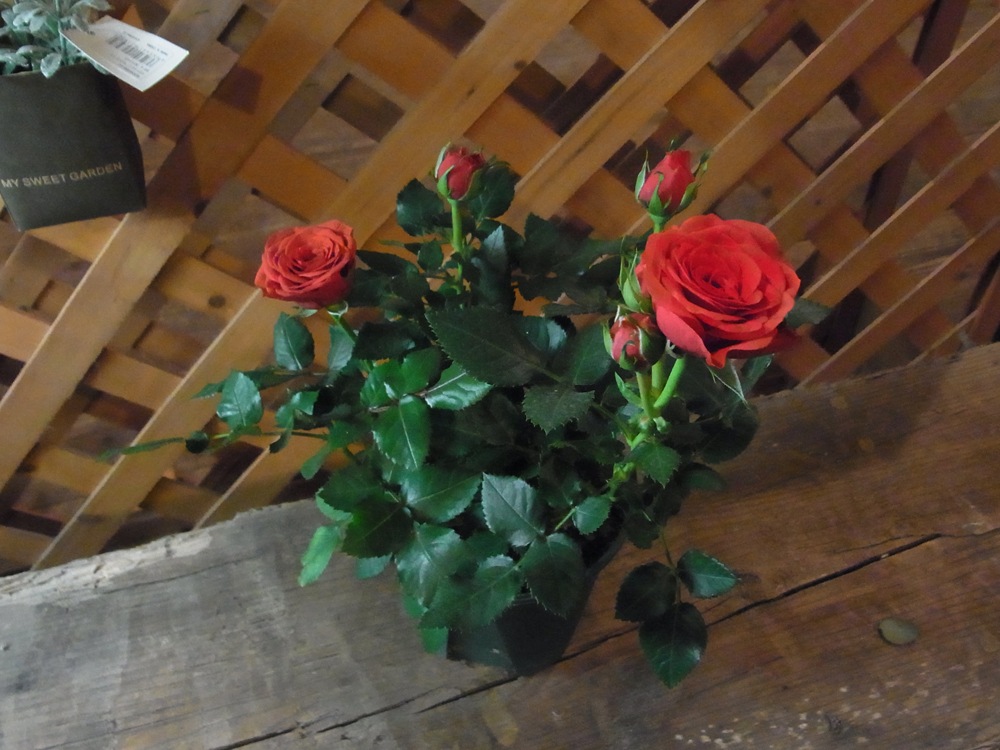 �⥹����ե������С�