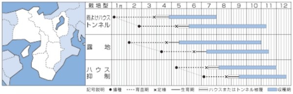 �ԡ��ޥ�μ�ԡ���Ϻ(���ɤ�ԡ��ޥ�)