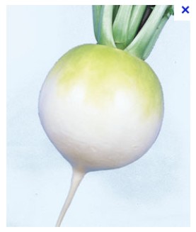 ��������μ���������