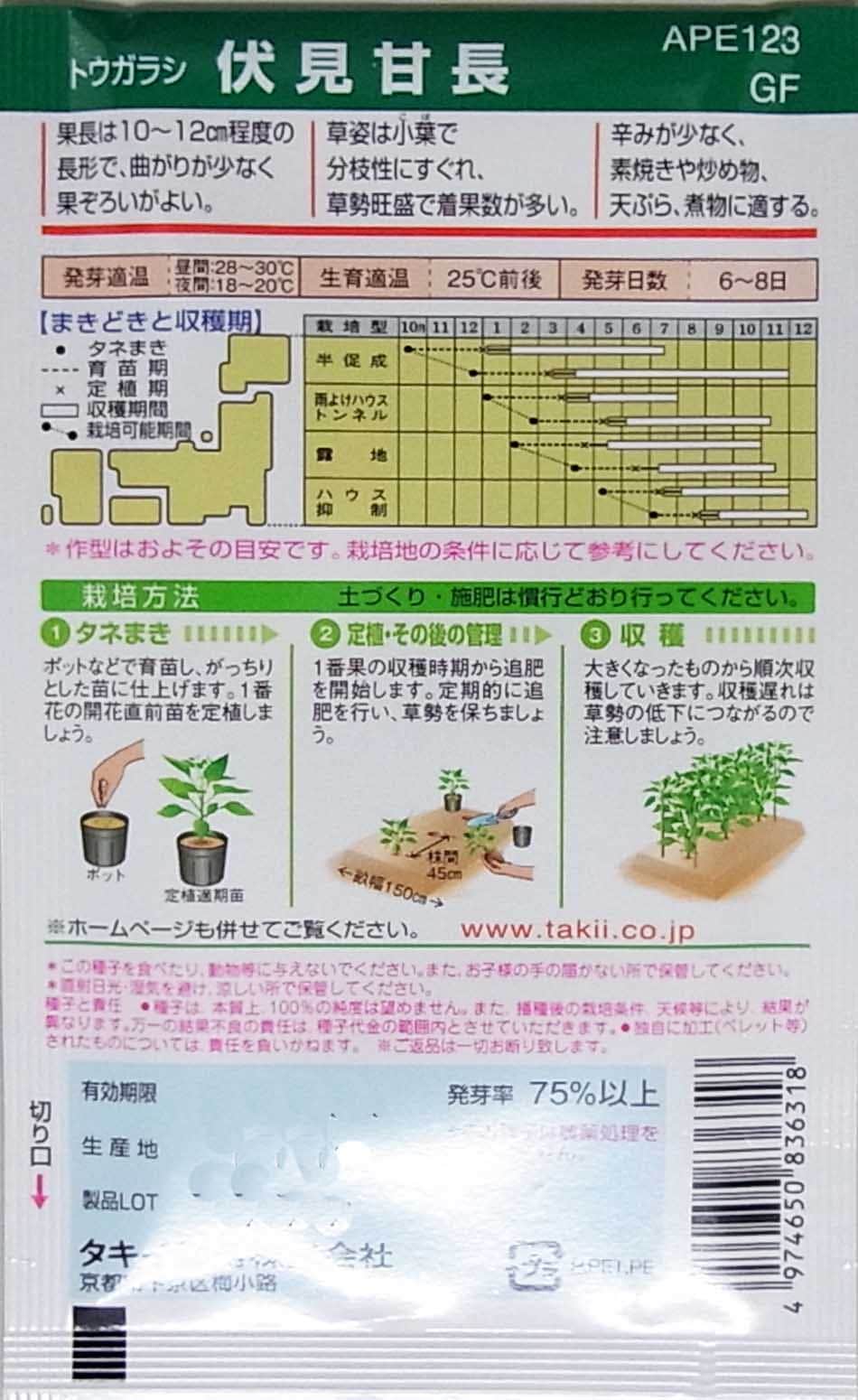 �ȥ����饷�μ�/������Ĺ