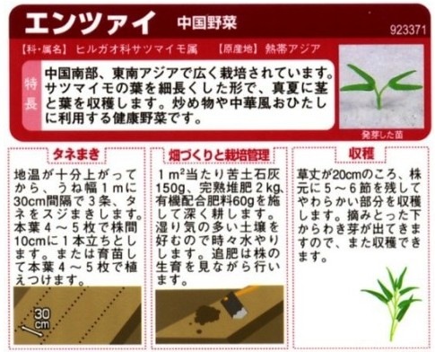 �����ڡ�����ĥ����μ�