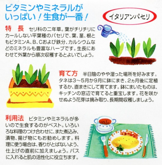 �����ꥢ��ѥ���μ�