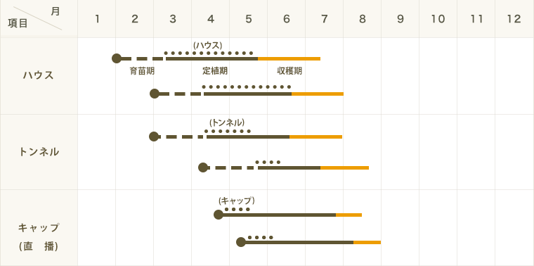 ڤƤޤġ ޥ復 ˥塼 Ǻ 9cmݥå     ڿ͵