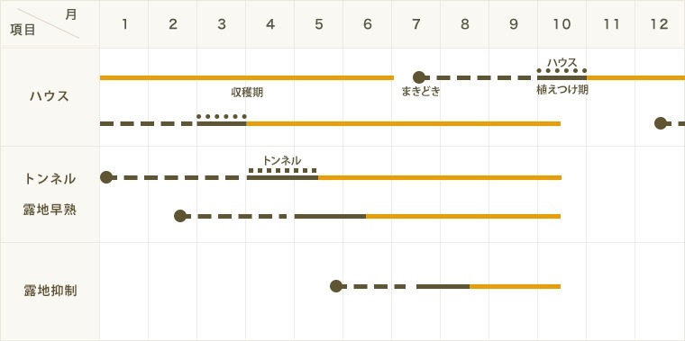 �ڤƤ��ޤ��ġ� �ƥʥ��� �����路 �Ǻ������� 9cm�ݥå� ����� ���� �� ���� �ڿ͵��� ����� �ڿ͵���