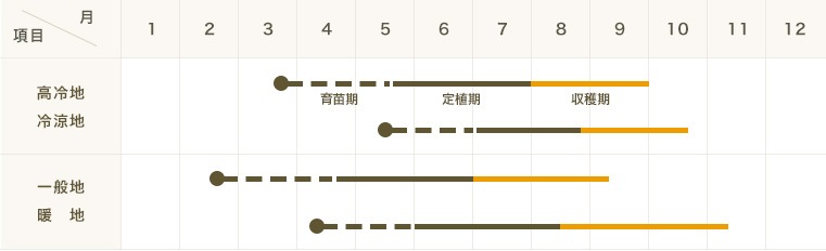 ڤƤޤġۥѥץꥫġȥ쥪ߥˡ9ݥåȡǺġ