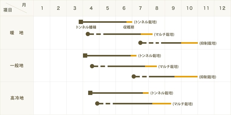 �ڤƤ��ޤ��ġ� �ȥ���������� ������� ������ 9cm�ݥå� ����� ���� �� ���� �ڿ͵��� 1�ݥå�2�Ŀ��� �ڿ͵���