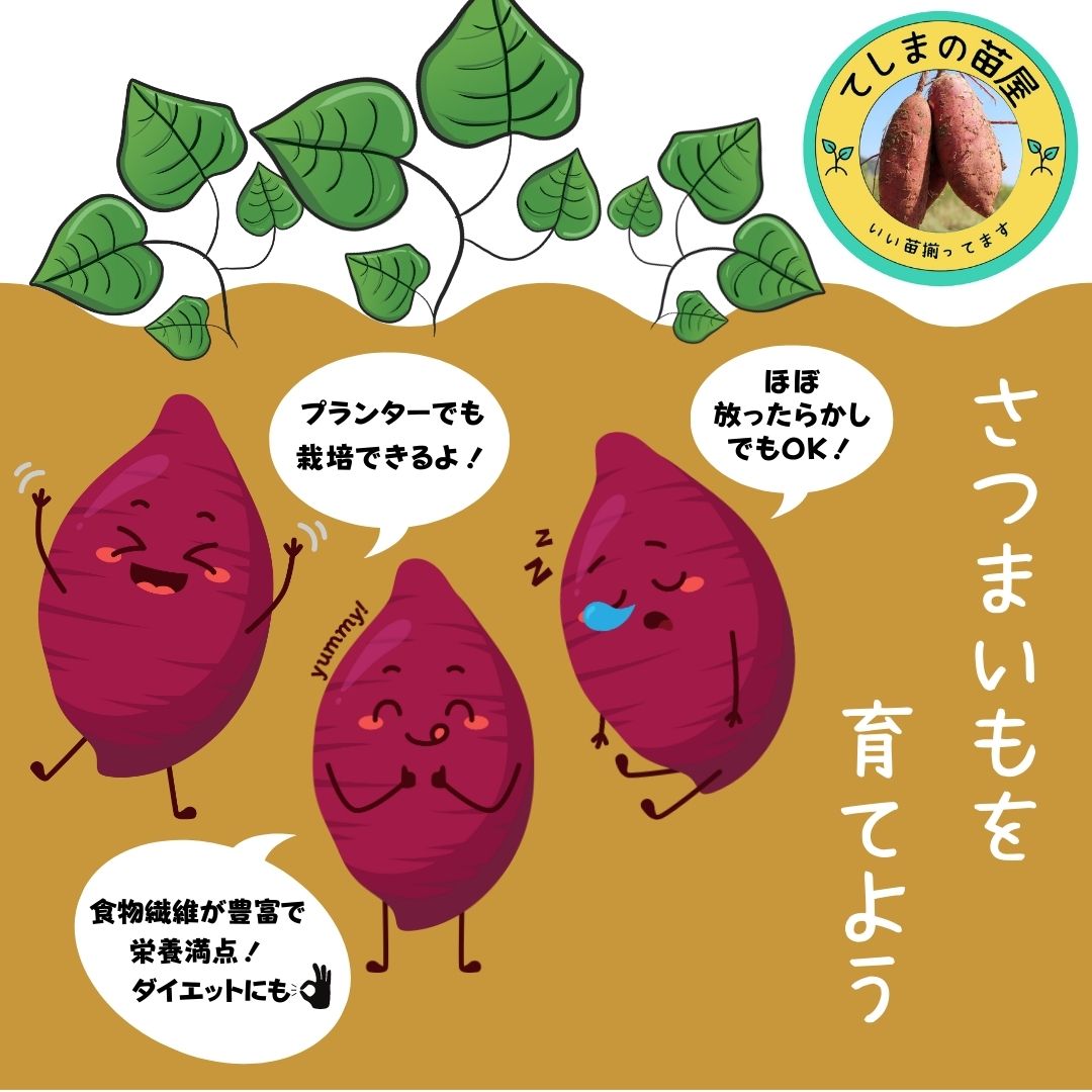 �ڤƤ��ޤ��ġ� ���Ĥޤ����ġʥ���ť��  ���륯�������ȡ����ĥޥ��� 1«10�����ꡡ��Ͽ�ʼ�̾��HE-306���������жػ�