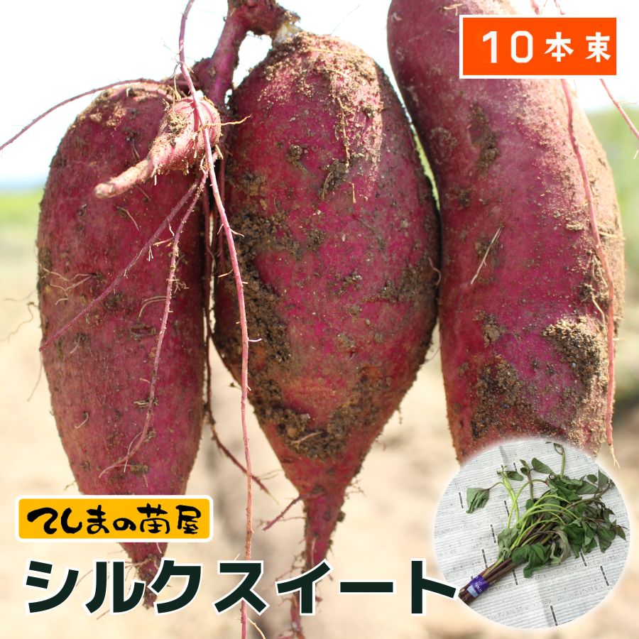 �ڤƤ��ޤ��ġ� ���Ĥޤ����ġʥ���ť��  ���륯�������ȡ����ĥޥ��� 1«10�����ꡡ��Ͽ�ʼ�̾��HE-306���������жػ�