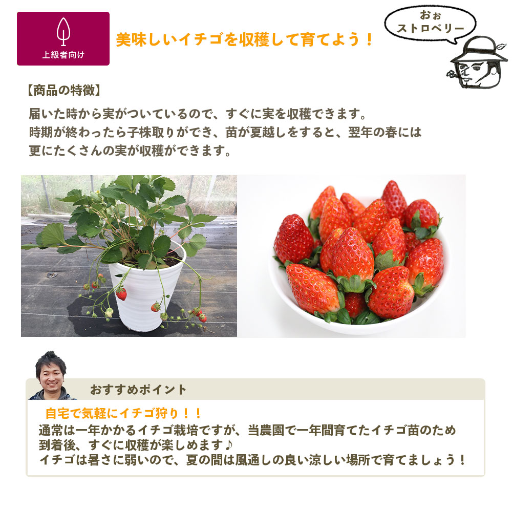 �ڤƤ��ޤ��ġ�  ���դ�����������ġ�����ȭ�դ�(��ȹ�������ޤ��������Բġˡ������٤����۹Ȥۤäڡ���ɱ������C�٥꡼������̵���ۢ��̳�ƻ������������ץ饹600�ߡ���¾�ĤȤ�Ʊ���Բġ���������������