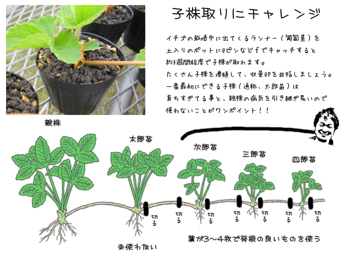 �ڤƤ��ޤ��ġ�  ���դ�����������ġ�����ȭ�դ�(��ȹ�������ޤ��������Բġˡ������٤����۹Ȥۤäڡ���ɱ������C�٥꡼������̵���ۢ��̳�ƻ������������ץ饹600�ߡ���¾�ĤȤ�Ʊ���Բġ���������������