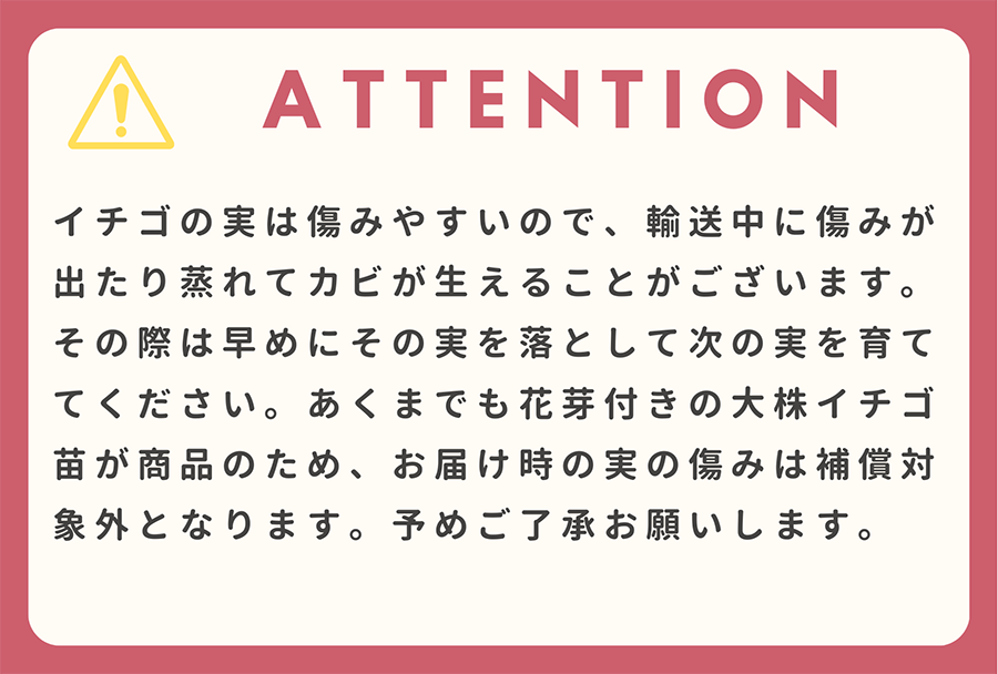 �ڤƤ��ޤ��ġ�  ���դ�����������ġ�����ȭ�դ�(��ȹ�������ޤ��������Բġˡ������٤����۹Ȥۤäڡ���ɱ������C�٥꡼������̵���ۢ��̳�ƻ������������ץ饹600�ߡ���¾�ĤȤ�Ʊ���Բġ���������������