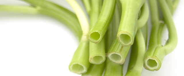 �ڤƤ��ޤ��ġ۶��ĺڡ��������󥵥������󥵥��������ġ�9cm�ݥå� �ڿ͵���