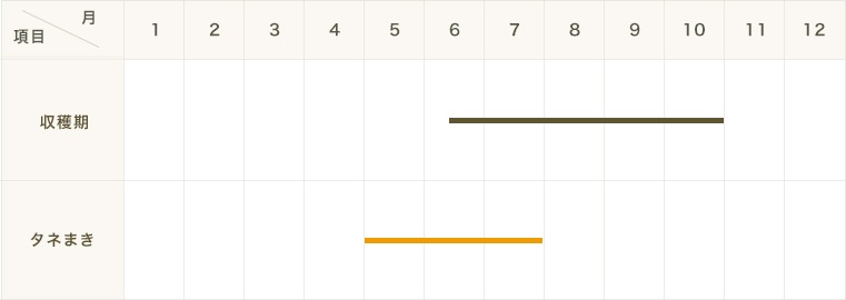 �ڤƤ��ޤ��ġ۶��ĺڡ��������󥵥������󥵥��������ġ�9cm�ݥå� �ڿ͵���