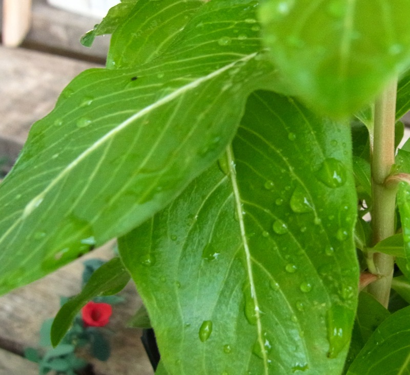 �˥��˥��𡡥�����